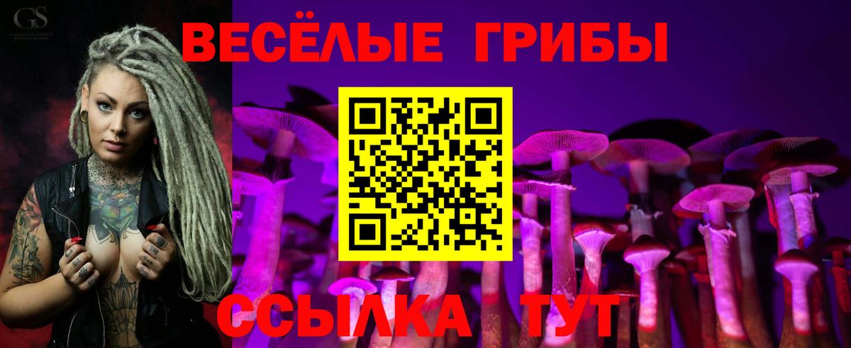 Славянск-на-Кубани  Галлюциногенные грибы Psilocybe  Галлюциногенные грибы MAGIC MUSHROOMS  Вход с VPN 